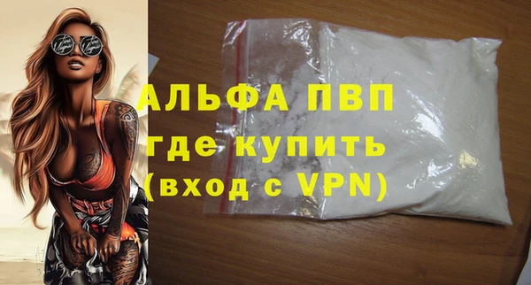 гашик Няндома