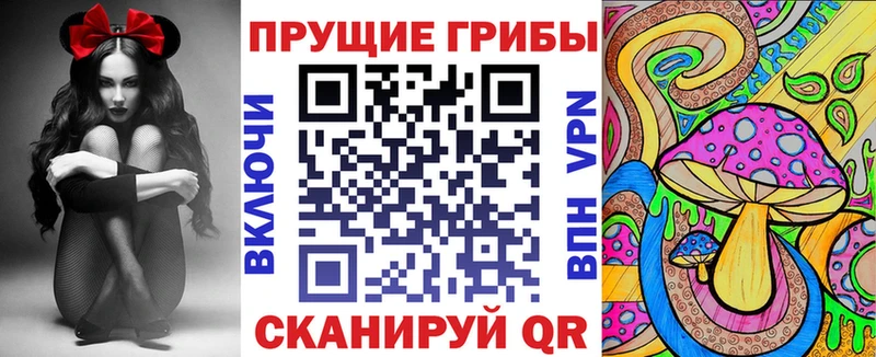 как найти наркотики  Лиски  Псилоцибиновые грибы Cubensis 