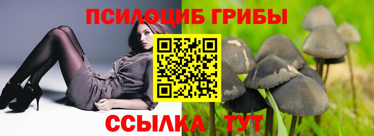 Галлюциногенные грибы Magic Shrooms  Вход с VPN  Лиски 